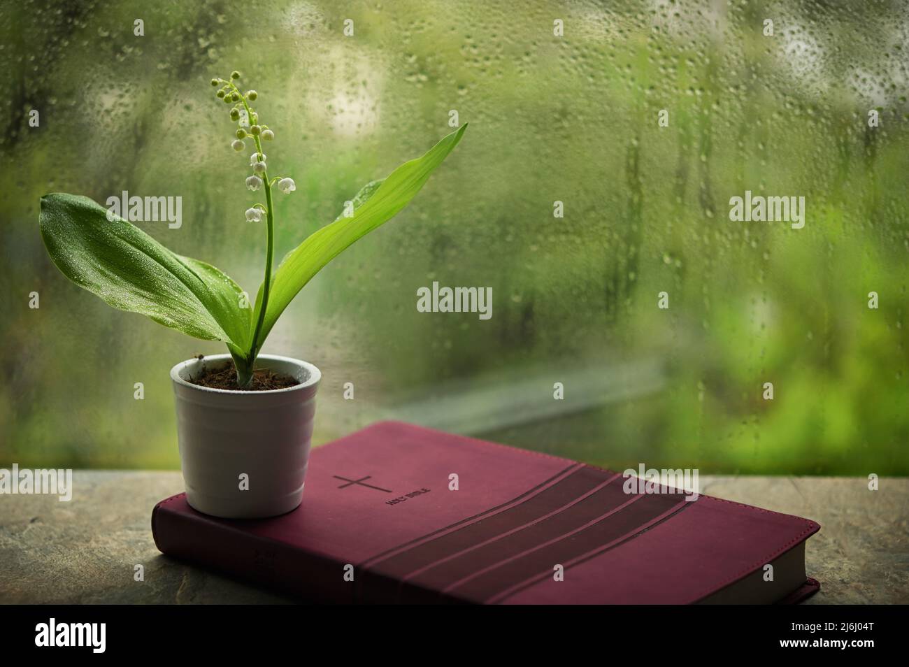 Rainy Spring with  Lily Of The Valley on Bible Stock Photo