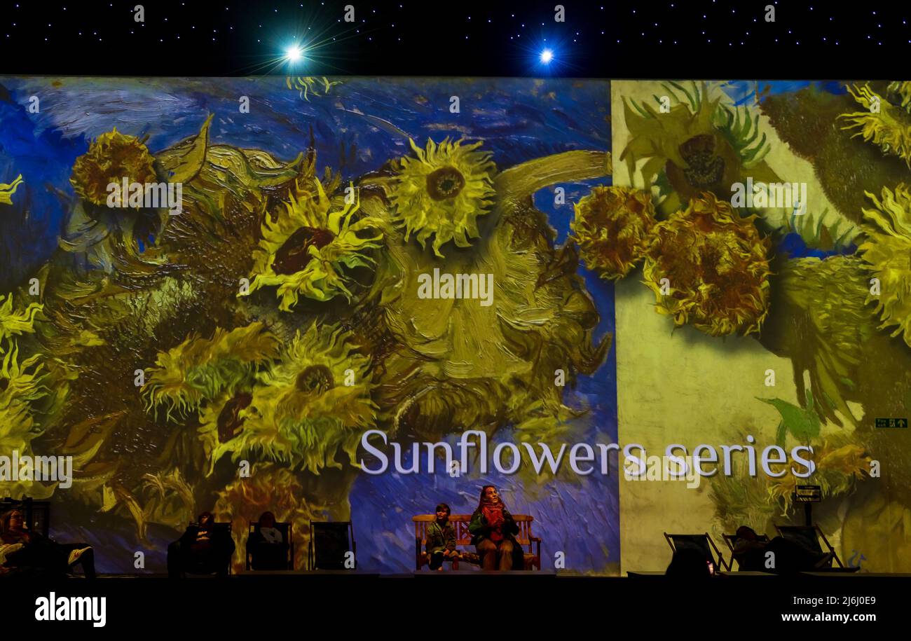 London, UK. 30 April 2022. Audience watching Sunflowers series at Van Gogh The Immersive Experience featuring illustrated light and sound stories. Stock Photo