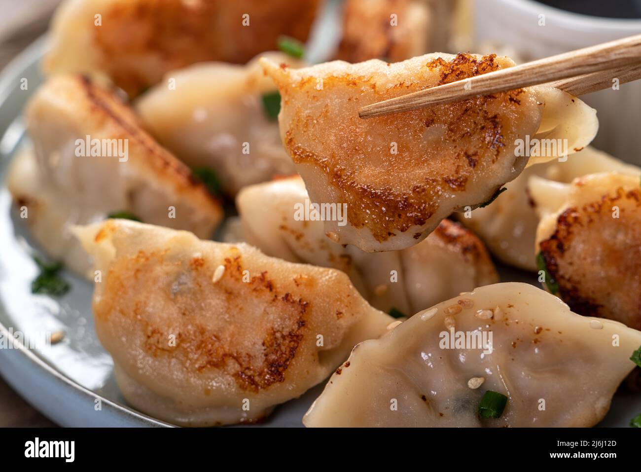Pan Fried Jiaozi at Patricia Caudle blog