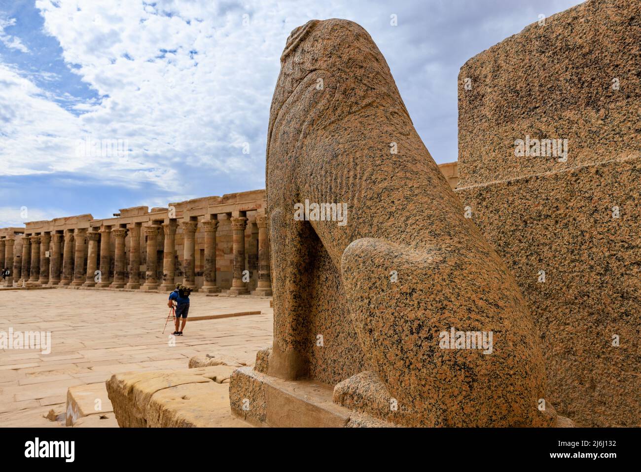 the pink granite lion at the first pylon of the temple of philae watches a photographer in the empty courtyard Stock Photo