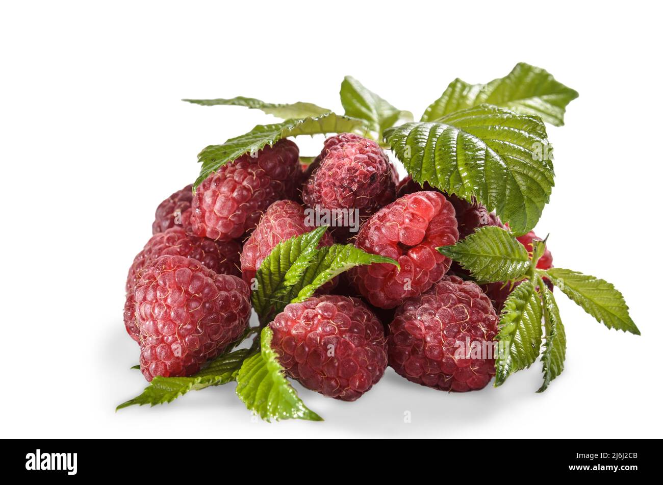 ripe raspberries with leaves on a white background with soft shadow Stock Photo