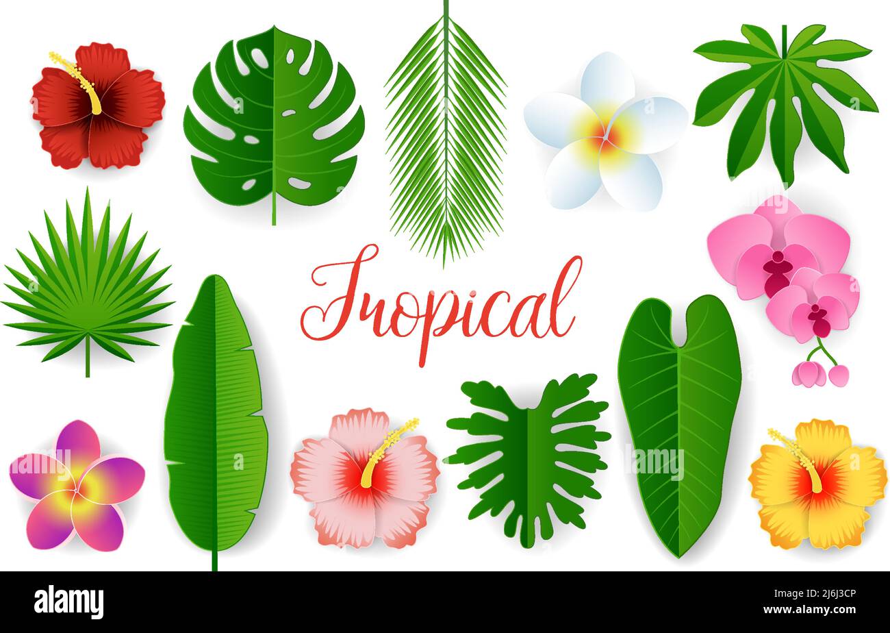 Vector paper cut tropical plant leaves and flowers Stock Vector