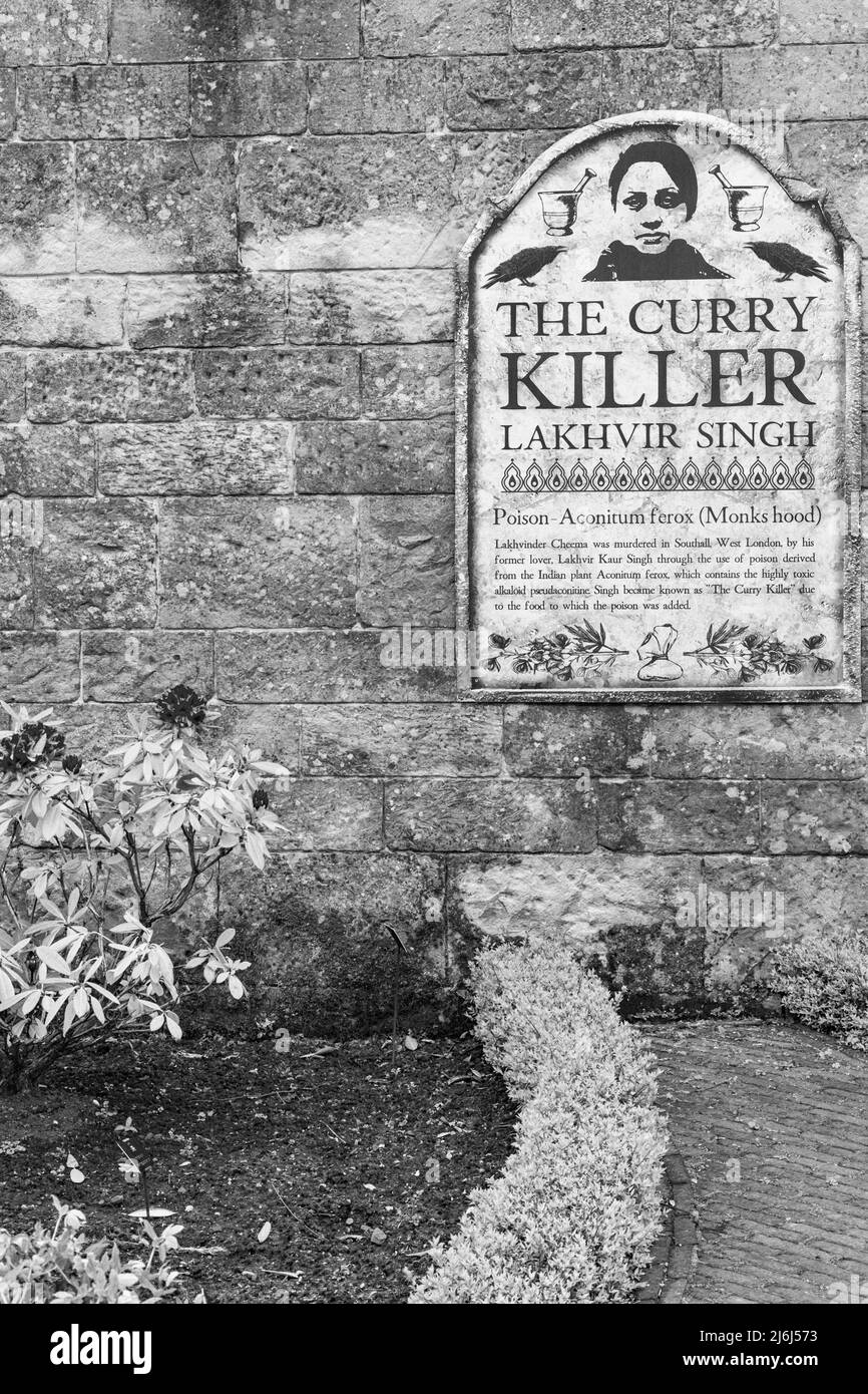 details of The Curry Killer Lakhvir Singh in The Poison Garden in Alnwick Gardens at Alnwick, Northumberland UK in April Stock Photo