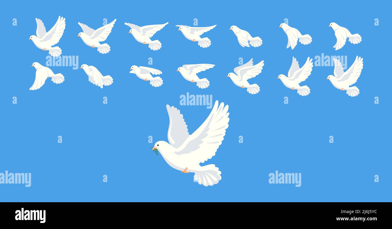 Pigeon animation. Bird motion wings in heaven, birds sequence frame sprite  cycle movement flight feather 2d animated dove flying migratory pigeons,  cartoon vector illustration. Bird dove animation Stock Vector Image & Art -