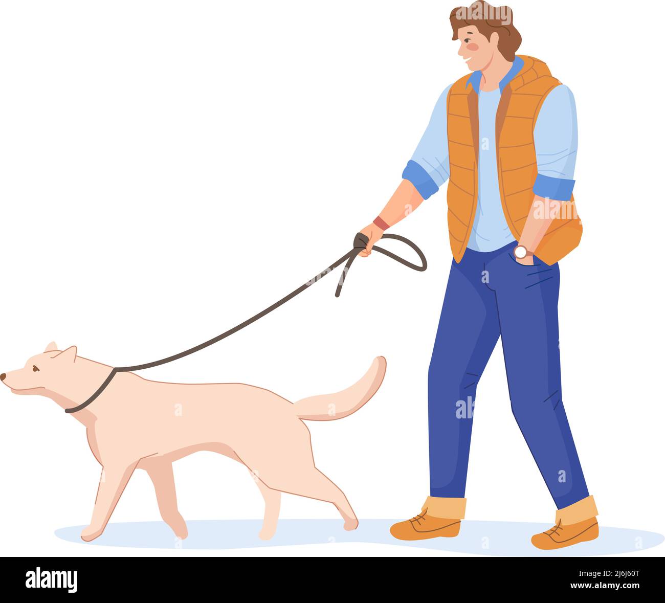 How To Train Older Dog To Walk On Leash