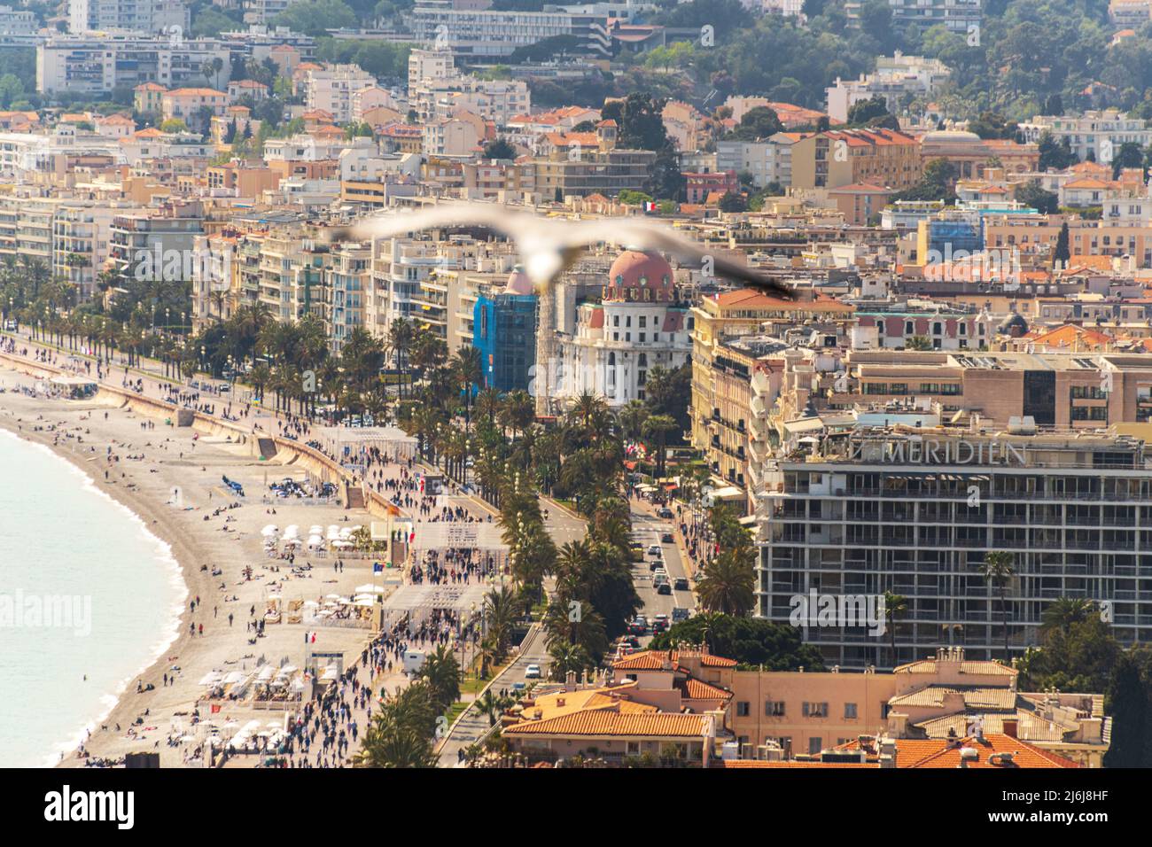 A gull flies over Nice in France. Stock Photo