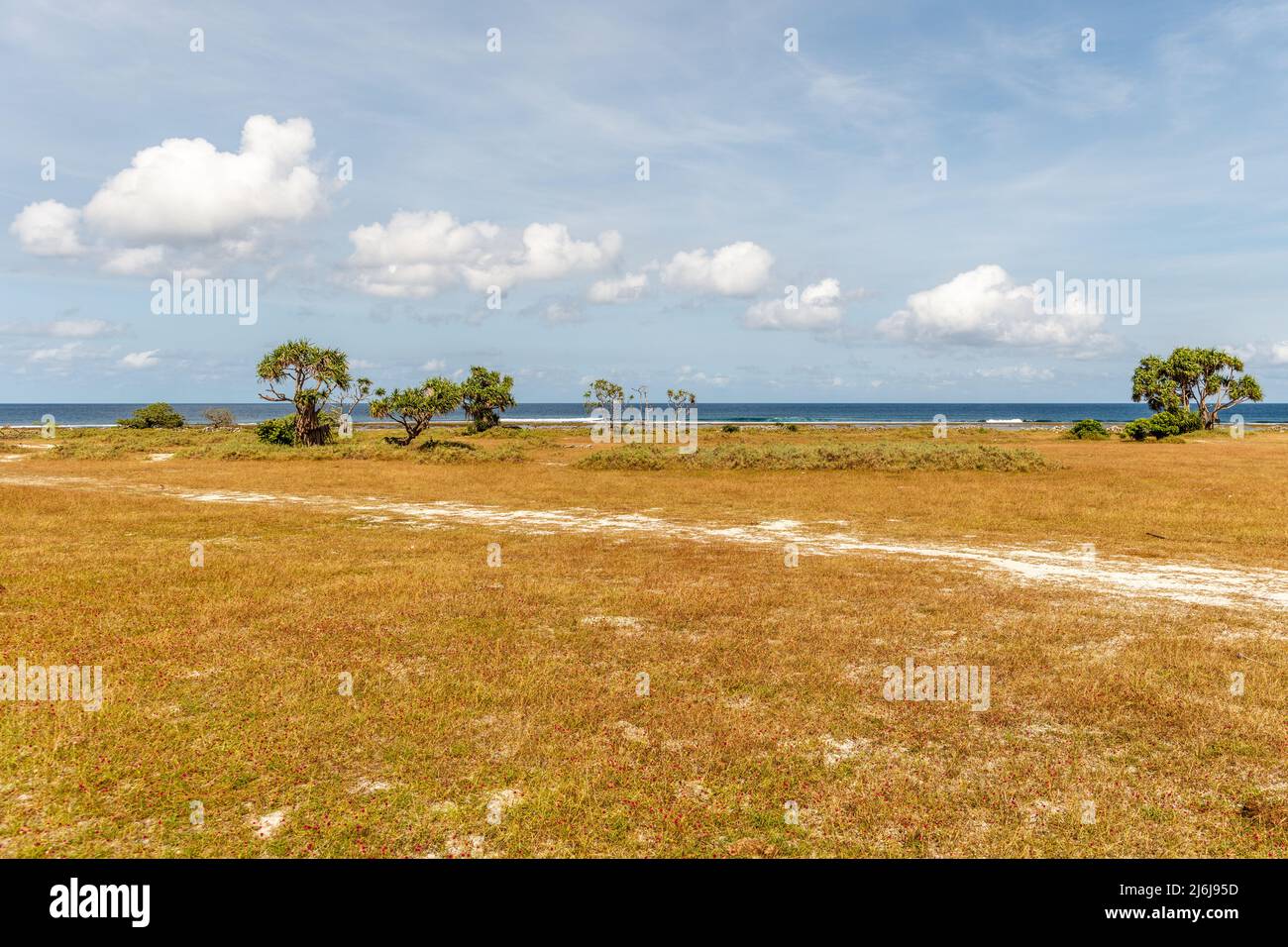 Savanna landscape of Boa Beach at Rote Island, East Nusa Tenggara province, Indonesia. Stock Photo