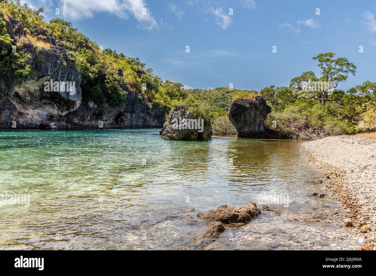 Mangrove forest in Rote Island, East Nusa Tenggara province, Indonesia Stock Photo