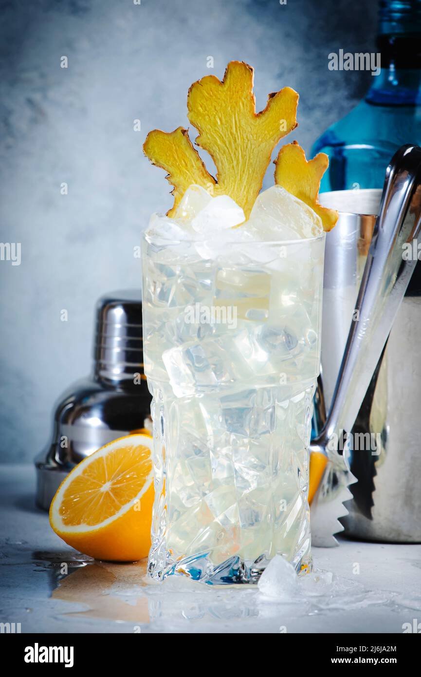 Gin mule refreshing summer cocktail with dry gin, lemon, soda and