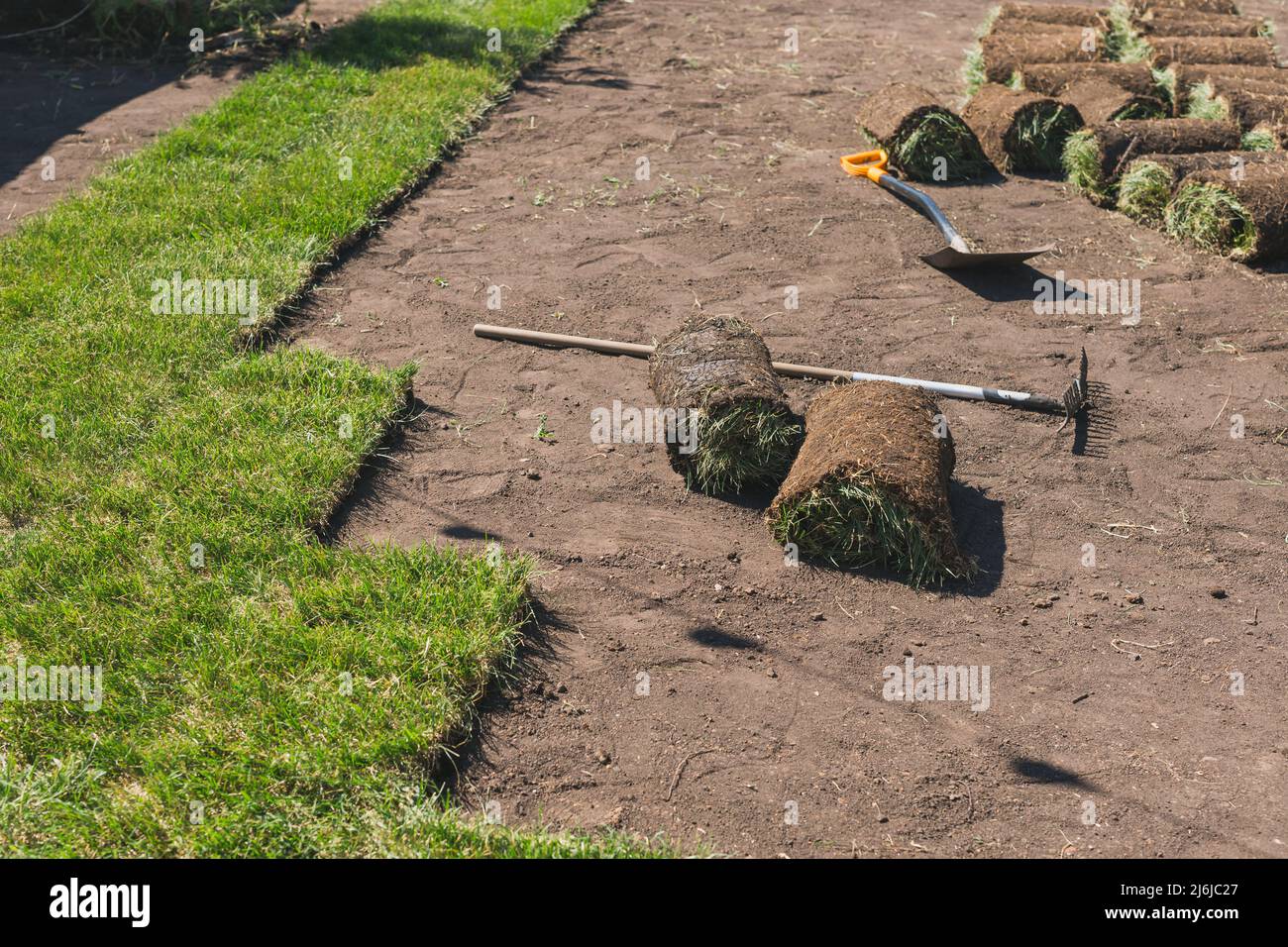 Installing new grass turfs from a roll Garden building theme Stock