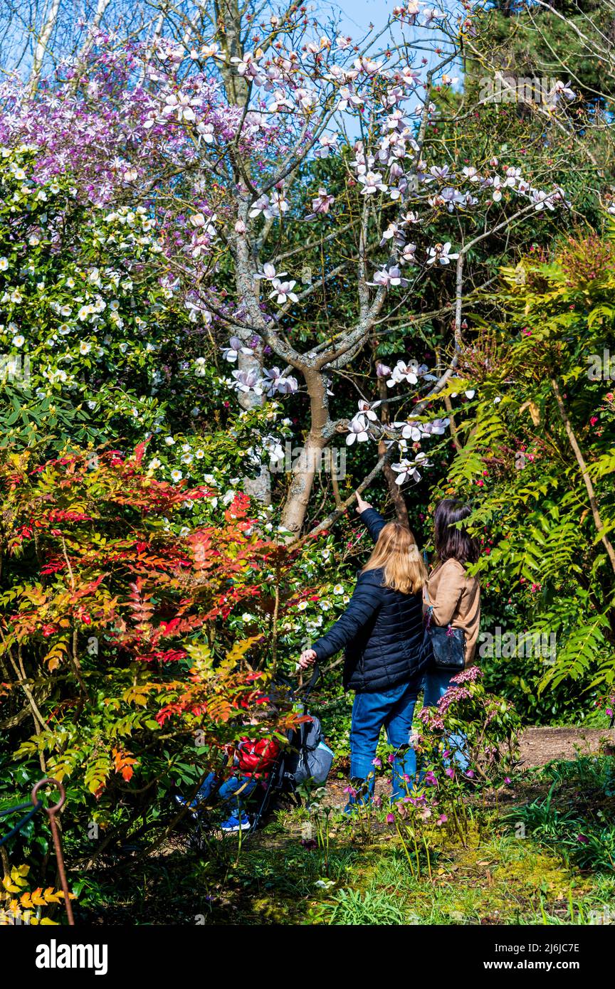 People exploring the woodland garden at Hyde Hall RHS gardens. Stock Photo