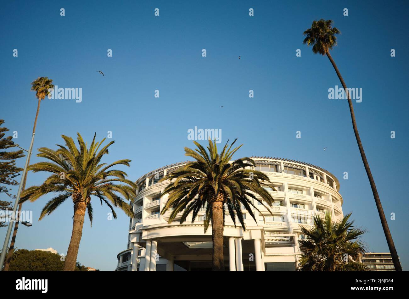 Entrance to round building of Casino de Vina del Mar surrounded by palm trees against blue sky. Building of Hotel Del Mar and casino in Plaza Colombia Stock Photo