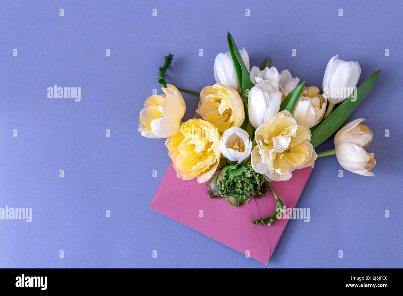 Flowers in an envelope on a colored background, flat lay. Stock Photo