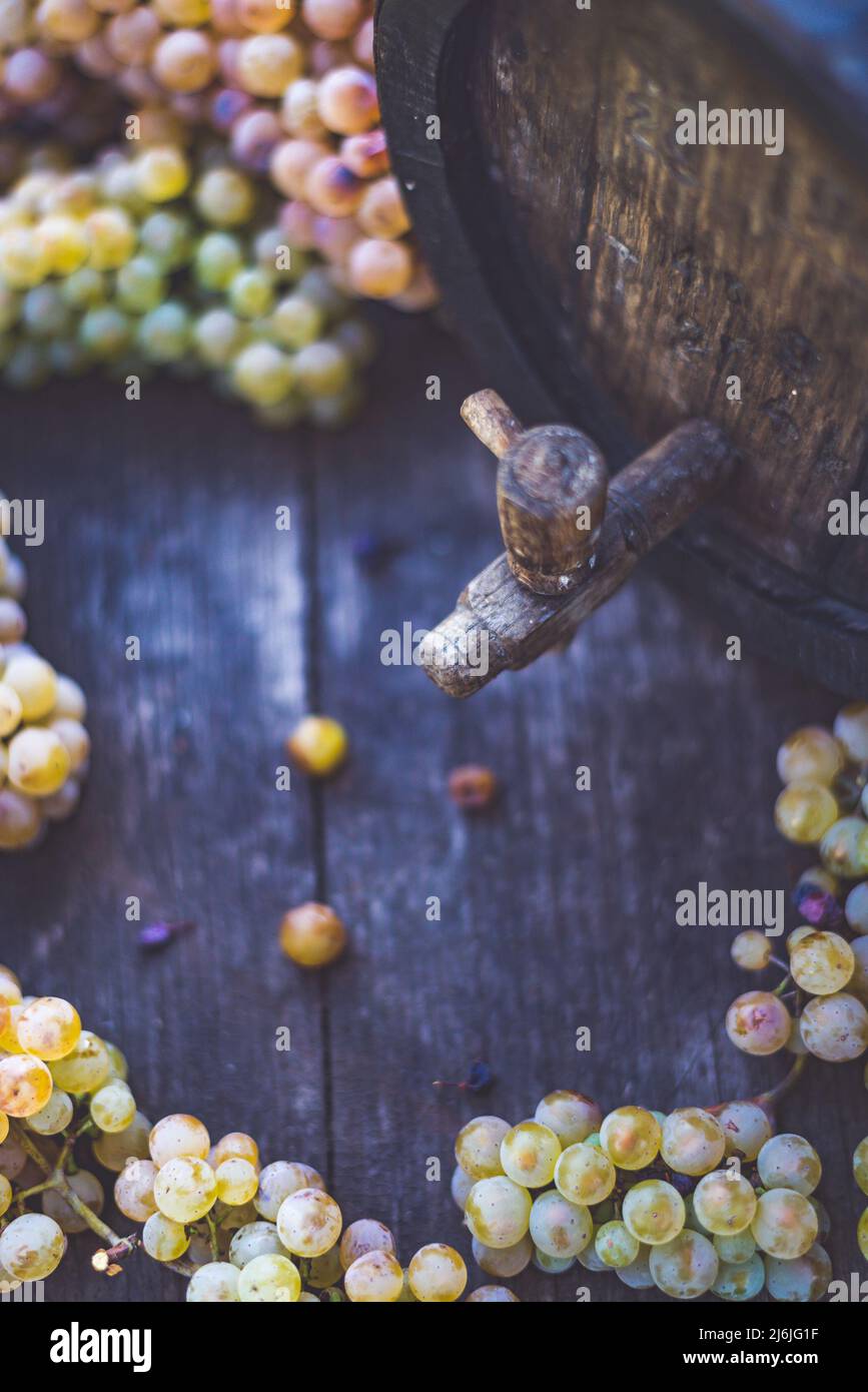 Riesling wine barrel hi-res stock photography and images - Alamy
