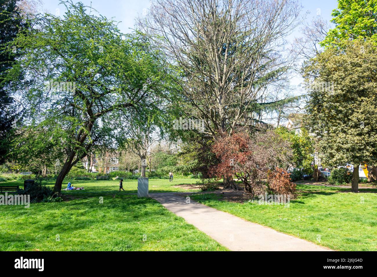 St andrews garden square park green trees surbiton royal boroug hires