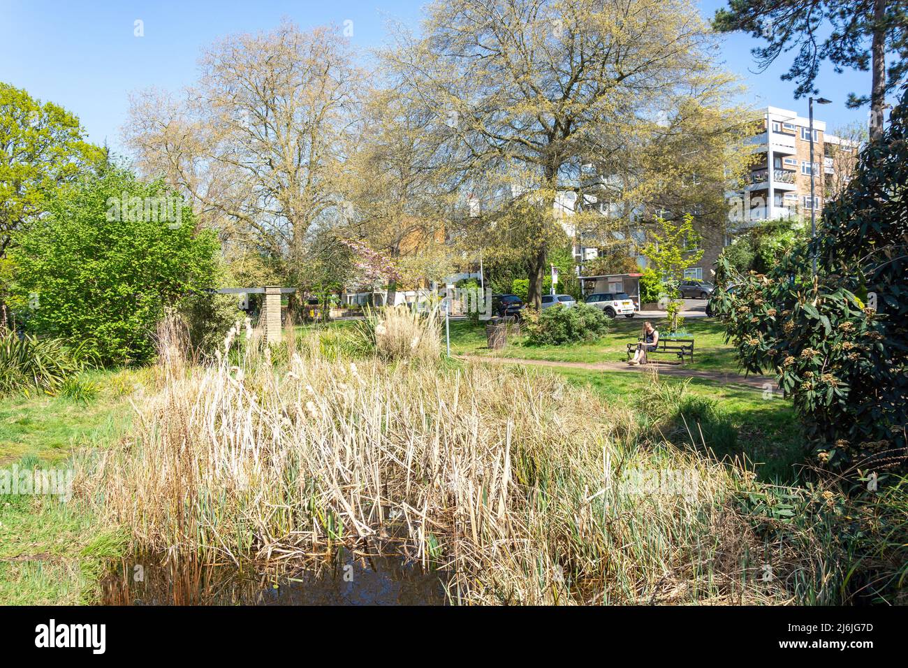 Pond park green garden group claremont gardens road surbiton roy hires