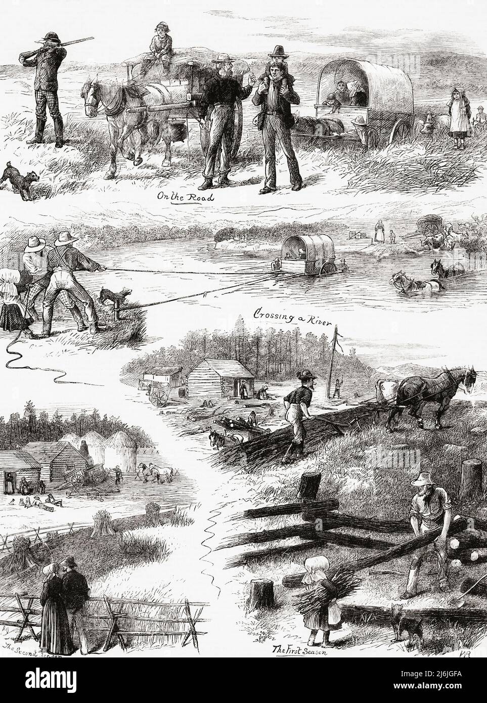 A portrait of emigrant life in North America in the 19th century.  Top: On the Road.  Families in search of a better life.  Centre: Crossing a river with animals and wagons, part of the difficulties such families had to overcome. Lower Right:  The tremendously hard work of the first season, settling the land and cultivating it.  Lower left: Enjoying the rewards of the hard work in the second year. Stock Photo