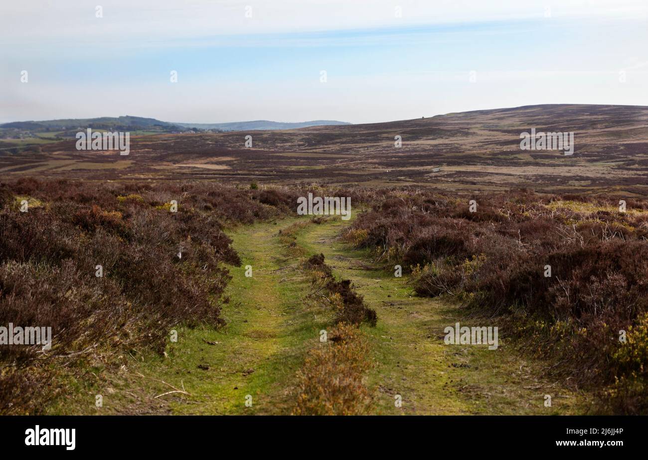 Moorland near Minera, North Wales Stock Photo