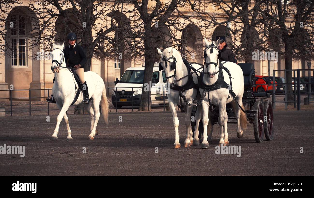 February 20, 2019. Denmark. Copenhagen. Training bypass Adaptation of a horse in the royal stable of the castle Christiansborg Slots. Man rider in Stock Photo