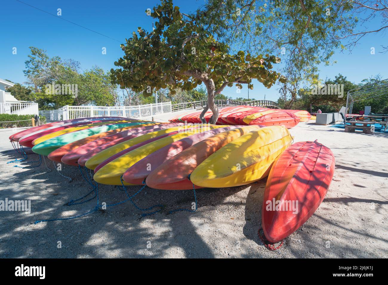 Colorful kayaks at John Pennekamp state park in Key Largo, Florida