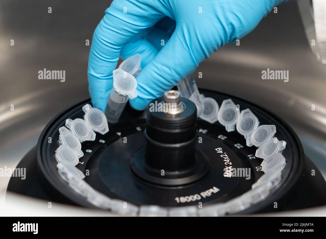 Scientist puts microcentrifuge tubes into centrifuge for phase