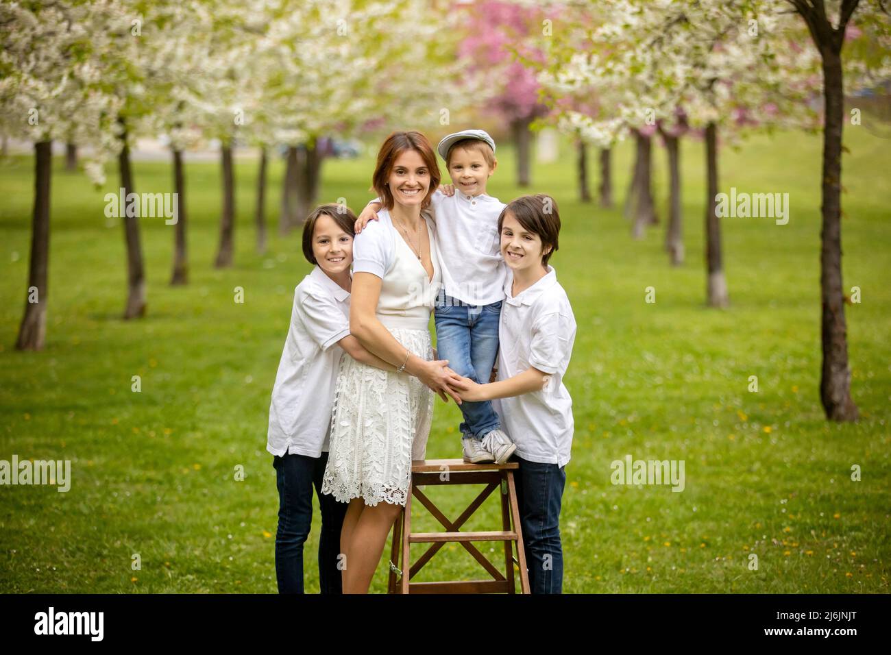 Beautiful family with kids, mom, dad, three boys and a dog, playing in ...