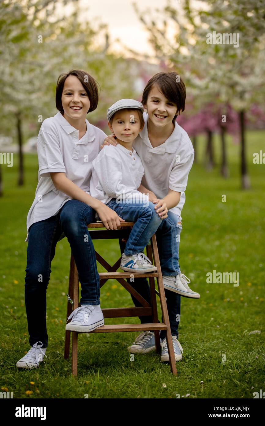 Beautiful family with kids, mom, dad, three boys and a dog, playing in ...