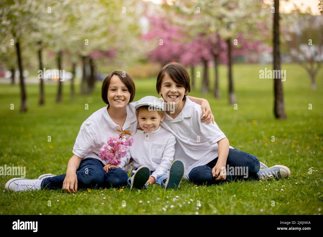 Beautiful family with kids, mom, dad, three boys and a dog, playing in ...
