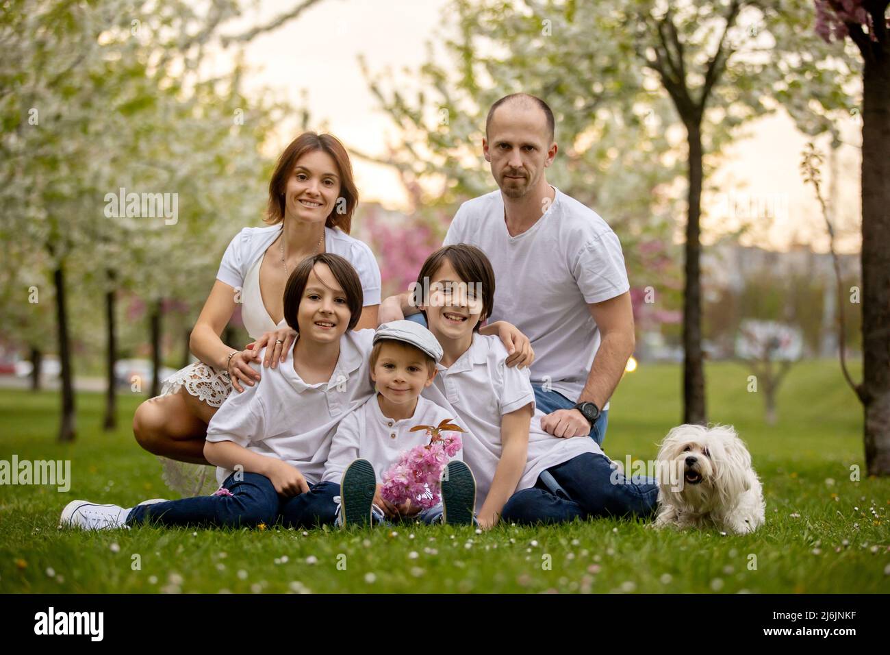 Beautiful family with kids, mom, dad, three boys and a dog, playing in ...