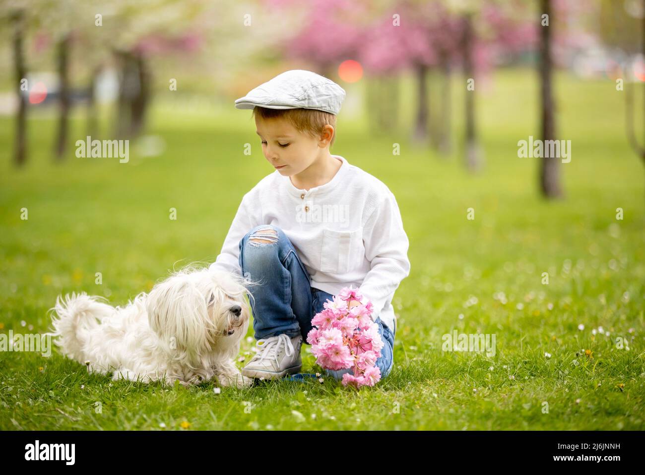 Beautiful family with kids, mom, dad, three boys and a dog, playing in ...