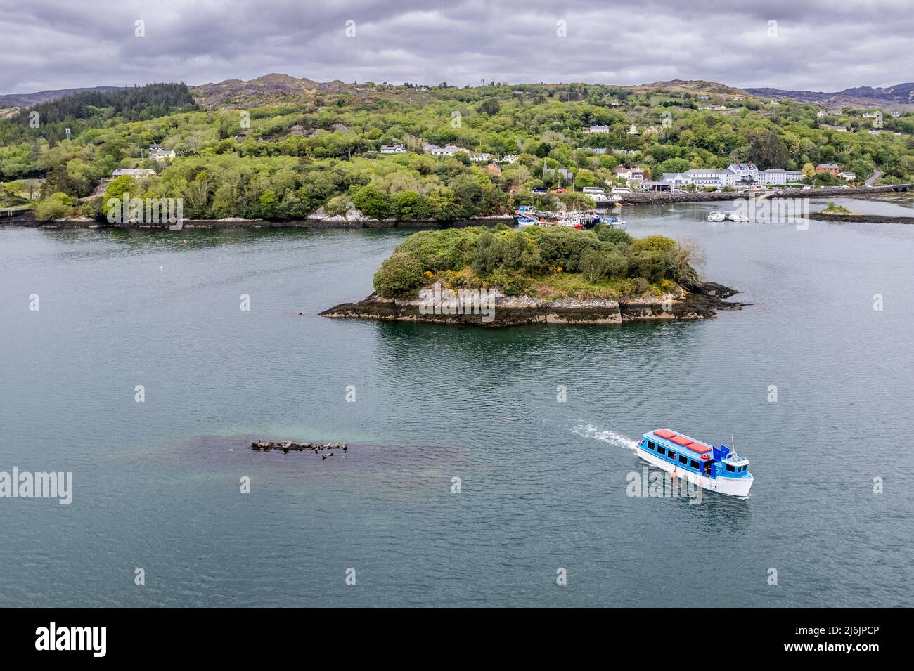 Glengarriff, West Cork, Ireland. 2nd May, 2022. The 2.15pm Harbour Queen sailing from Glengarriff to Garinish Island pauses at Seal Island to allow tourists view the seals. Met Éireann has forecast a dry and sunny week before heavy rain at the weekend. Credit: AG News/Alamy Live News. Stock Photo