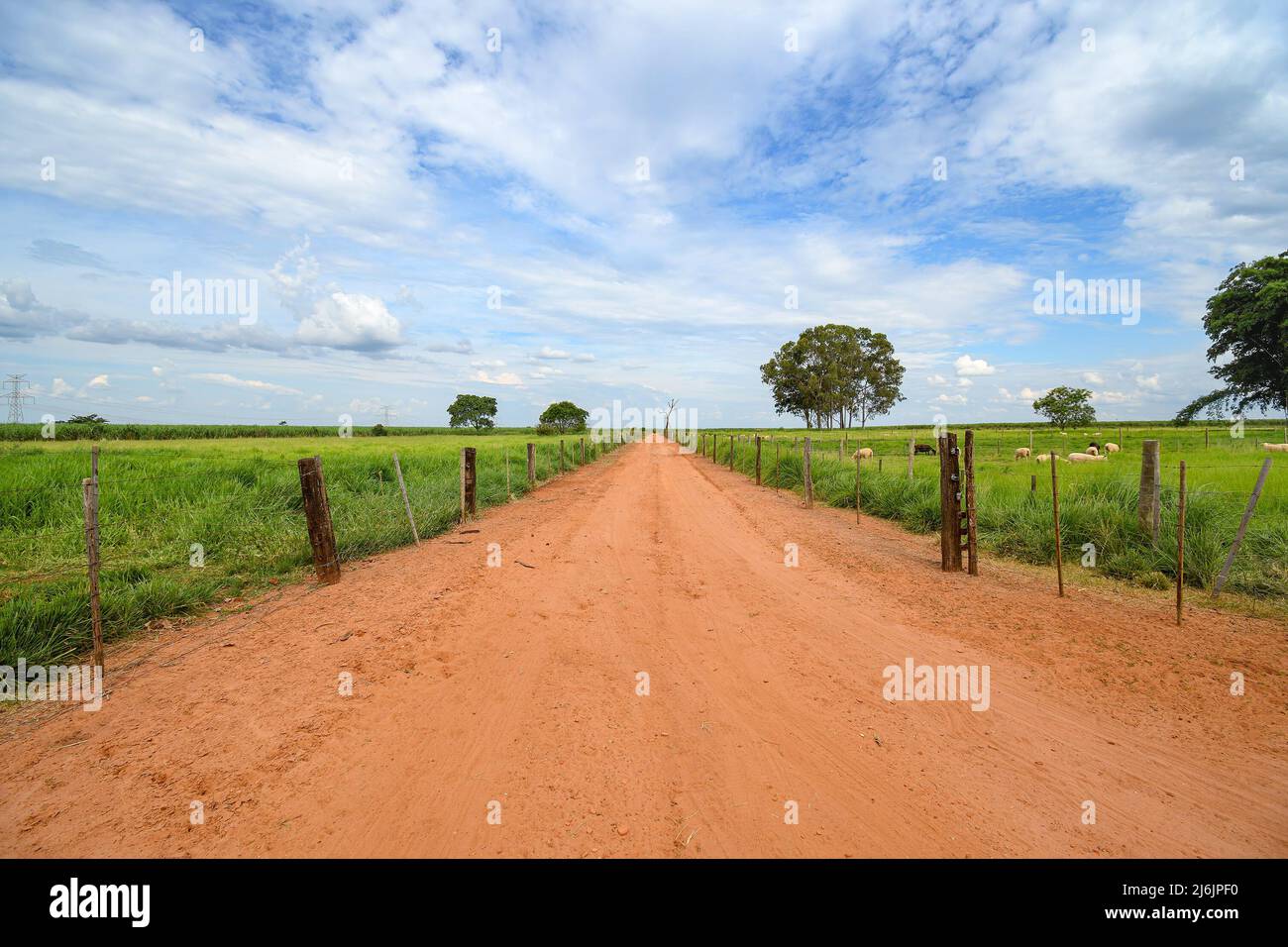 Dirt road of a rural area, fences separating the dirt road from the ...