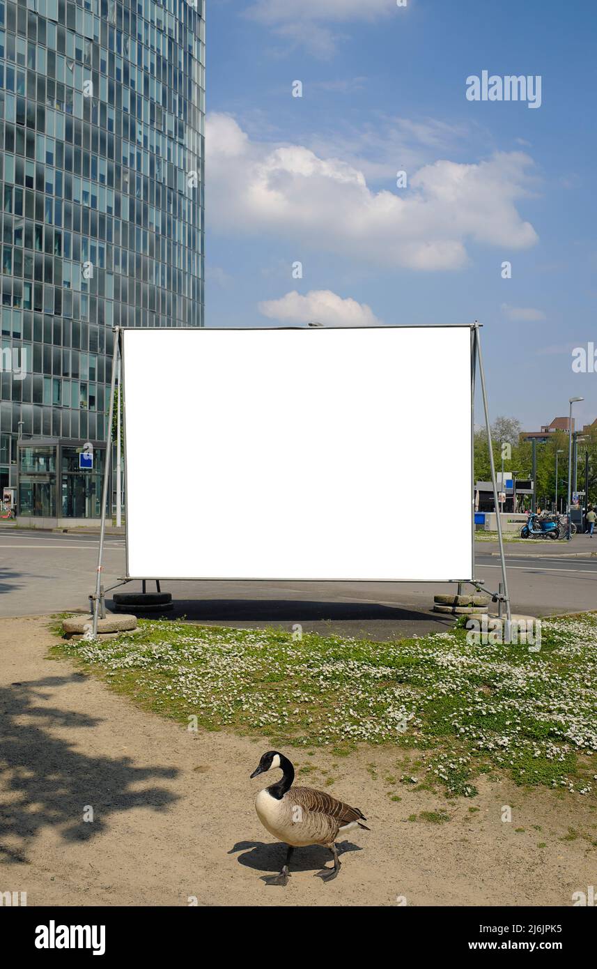 Blank large street billboard poster, free copy and picture space. Advertising, promotion mock up. Stock Photo