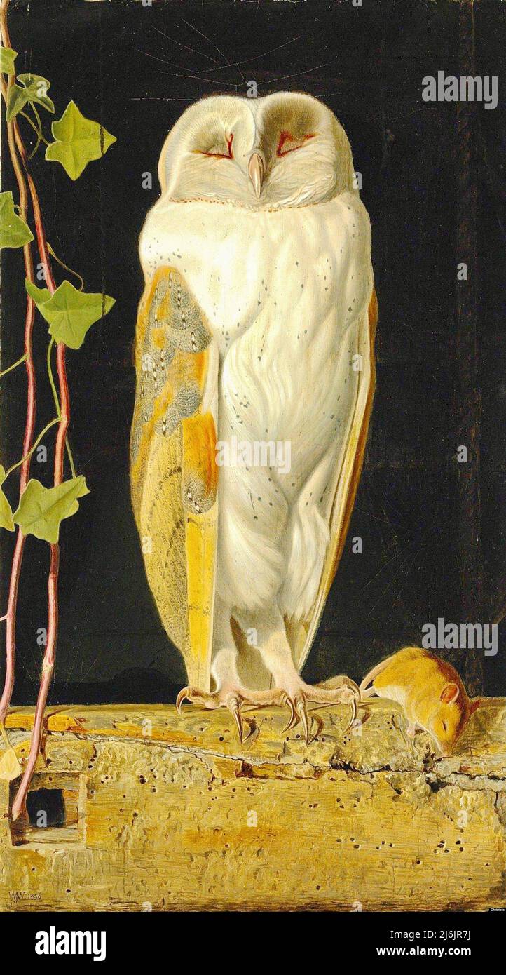 William J Webbe - The White Owl -  'Alone and warming his five wits, The white owl in the belfry sits' - c1856 Stock Photo