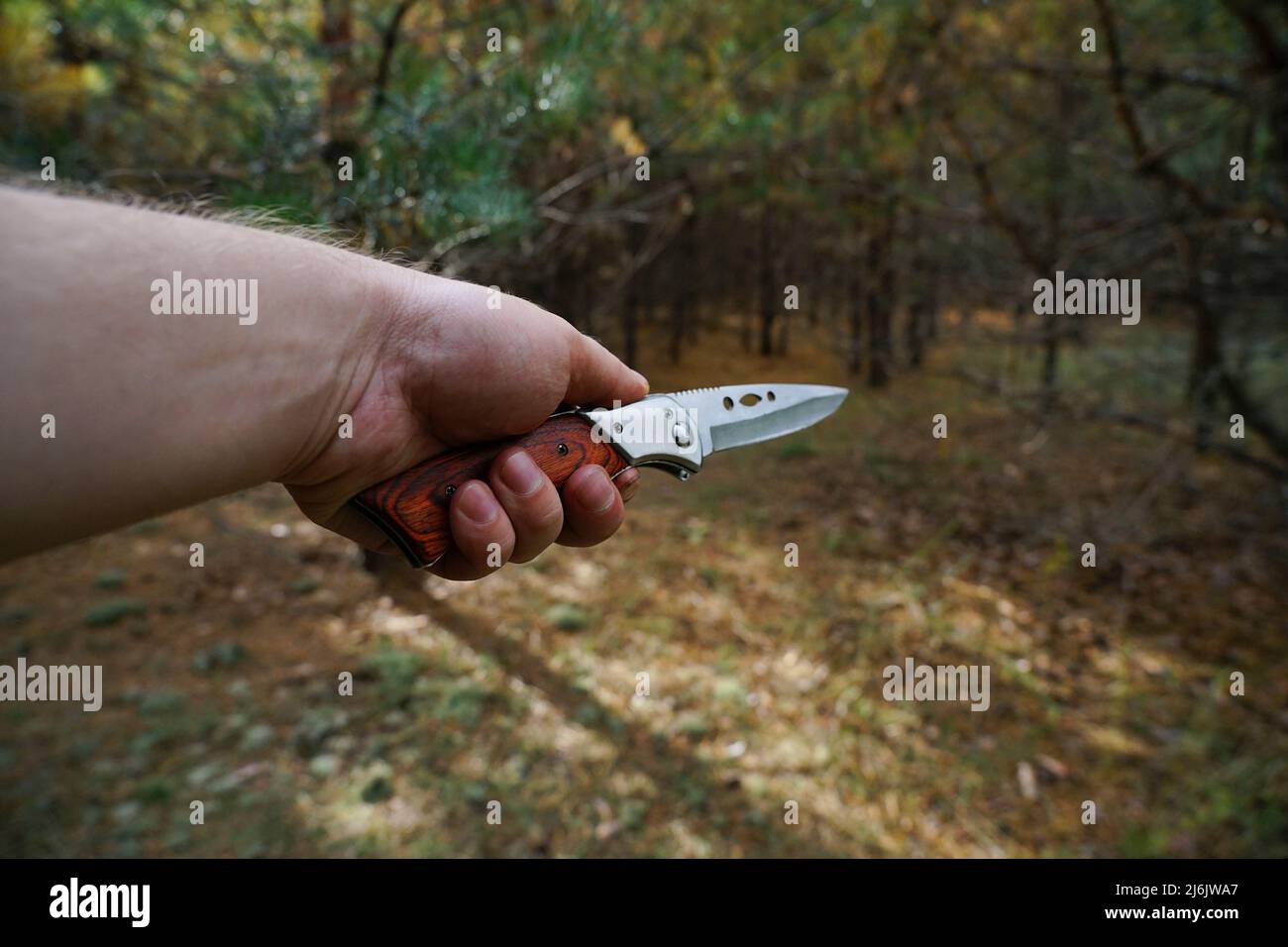 hand holds a folding knife on a forest background Stock Photo