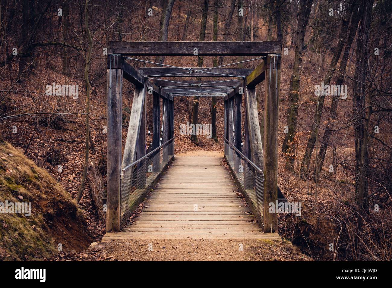 Old wooden bridge in the forest, autumn weather Stock Photo - Alamy