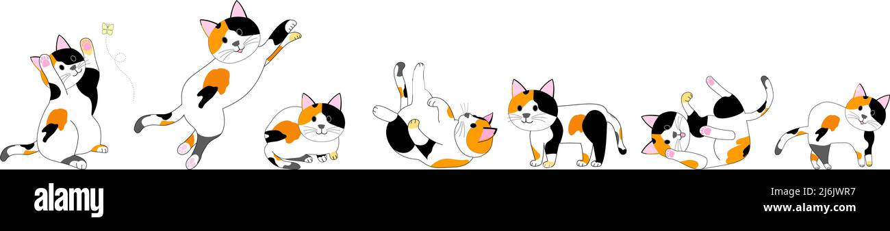 Calico cat jumping hi-res stock photography and images - Alamy