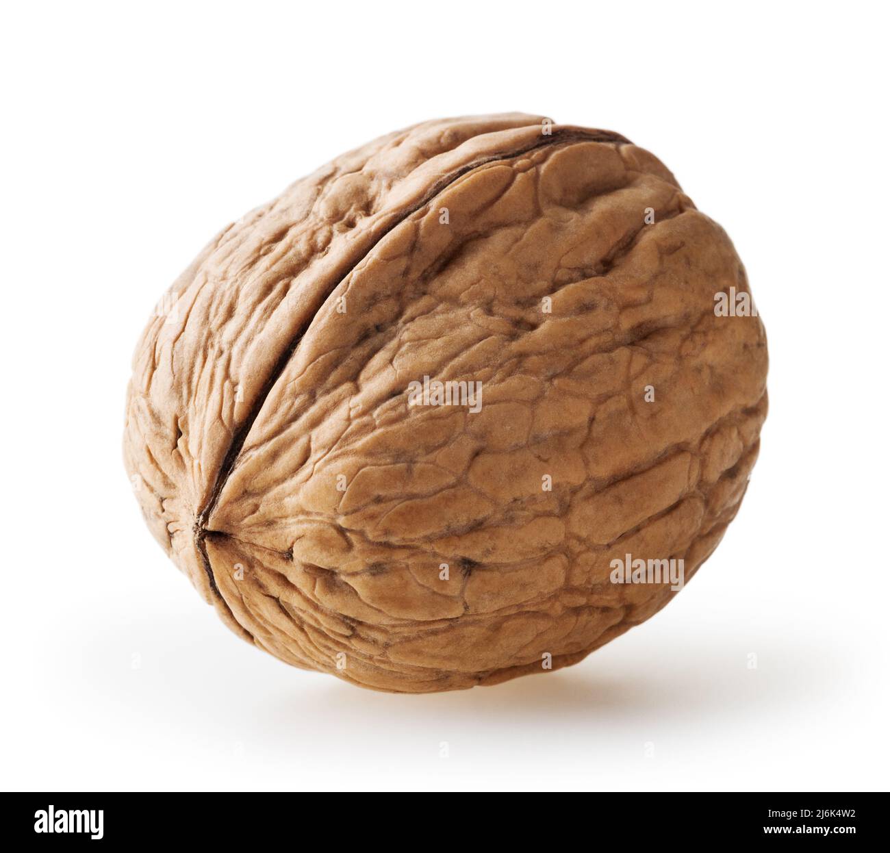 Walnut isolated on white background with clipping path Stock Photo