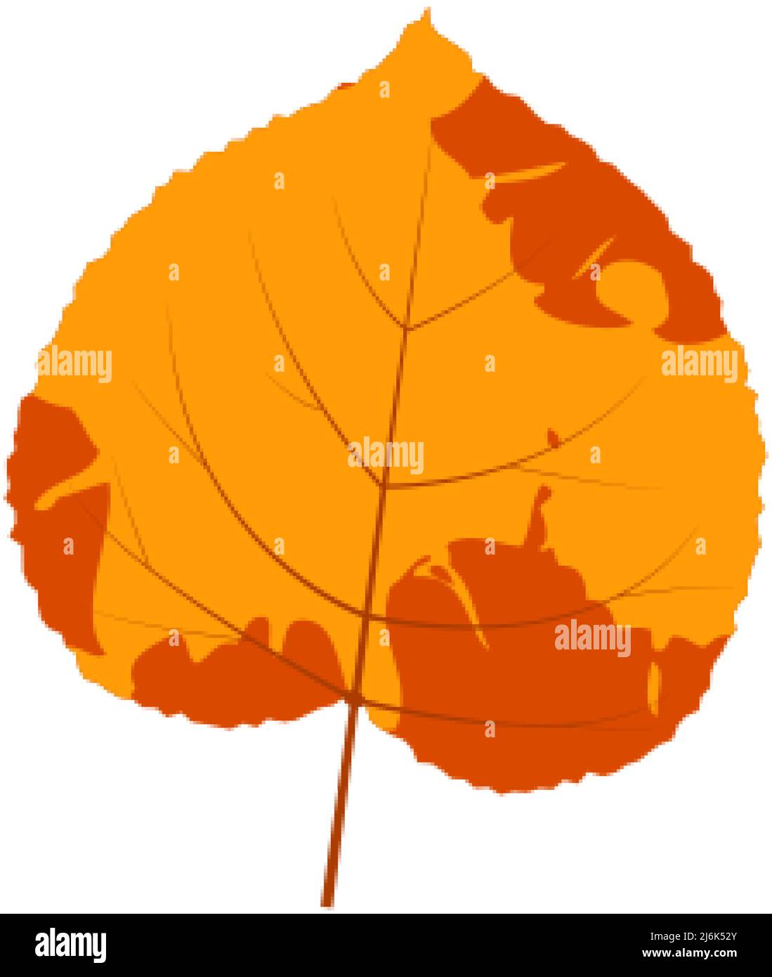 Withered autumn motley leaf. Fallen leaf with variegated texture. Stock Vector