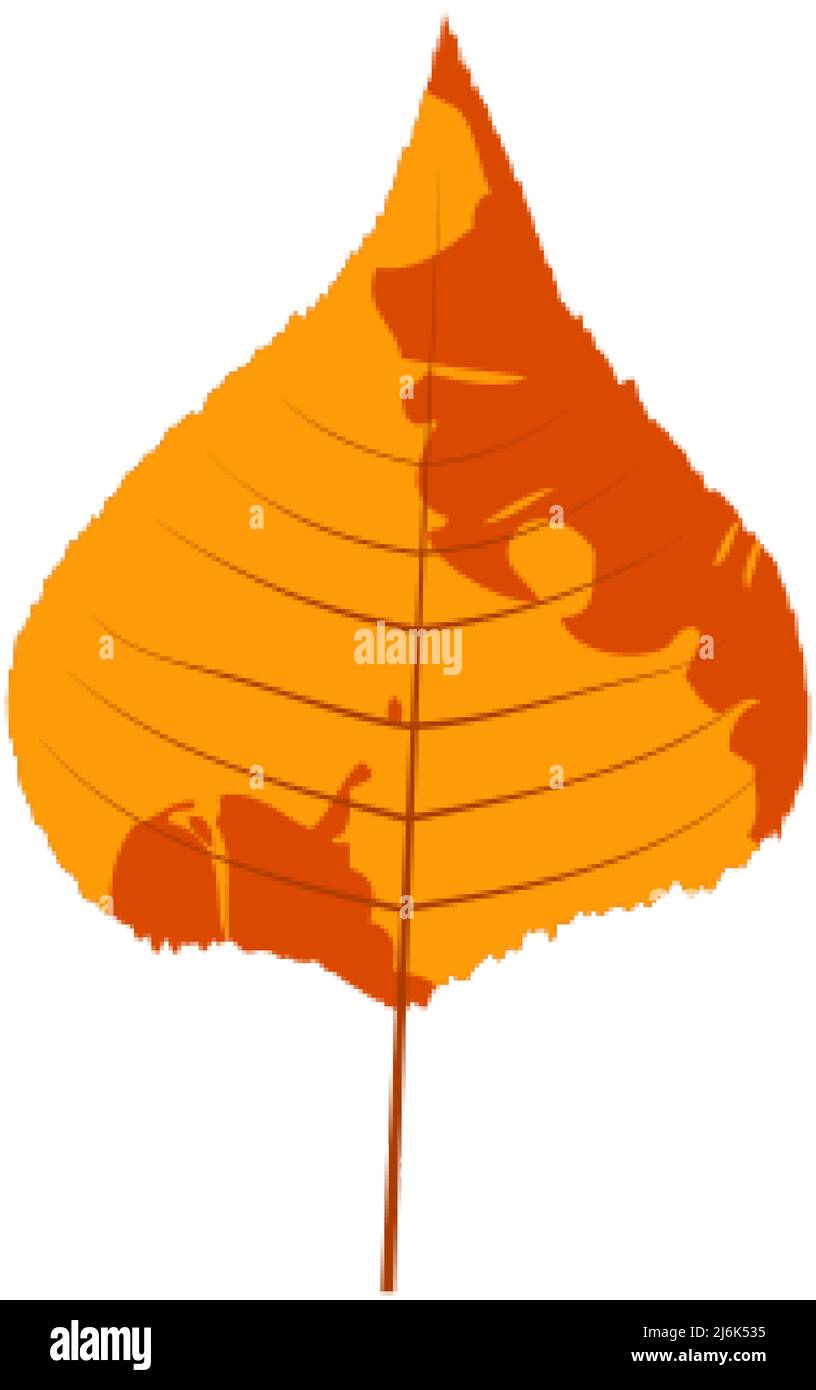 Withered autumn motley leaf. Fallen leaf with variegated texture. Stock Vector