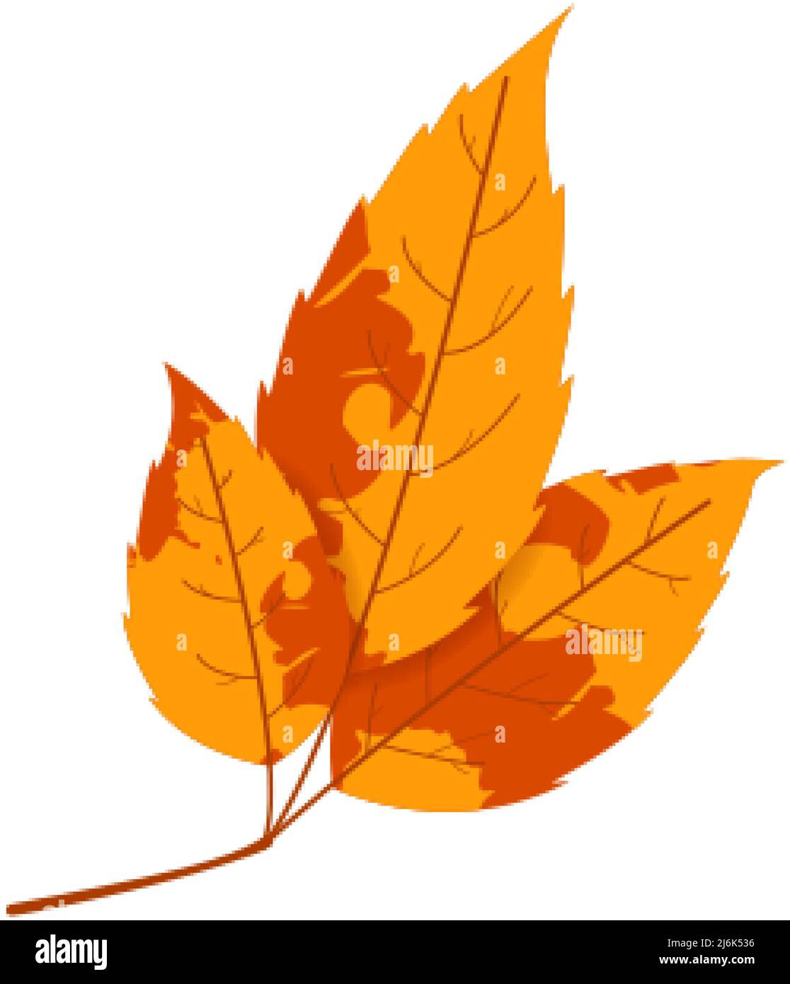 Withered autumn motley leaf. Fallen leaf with variegated texture. Stock Vector