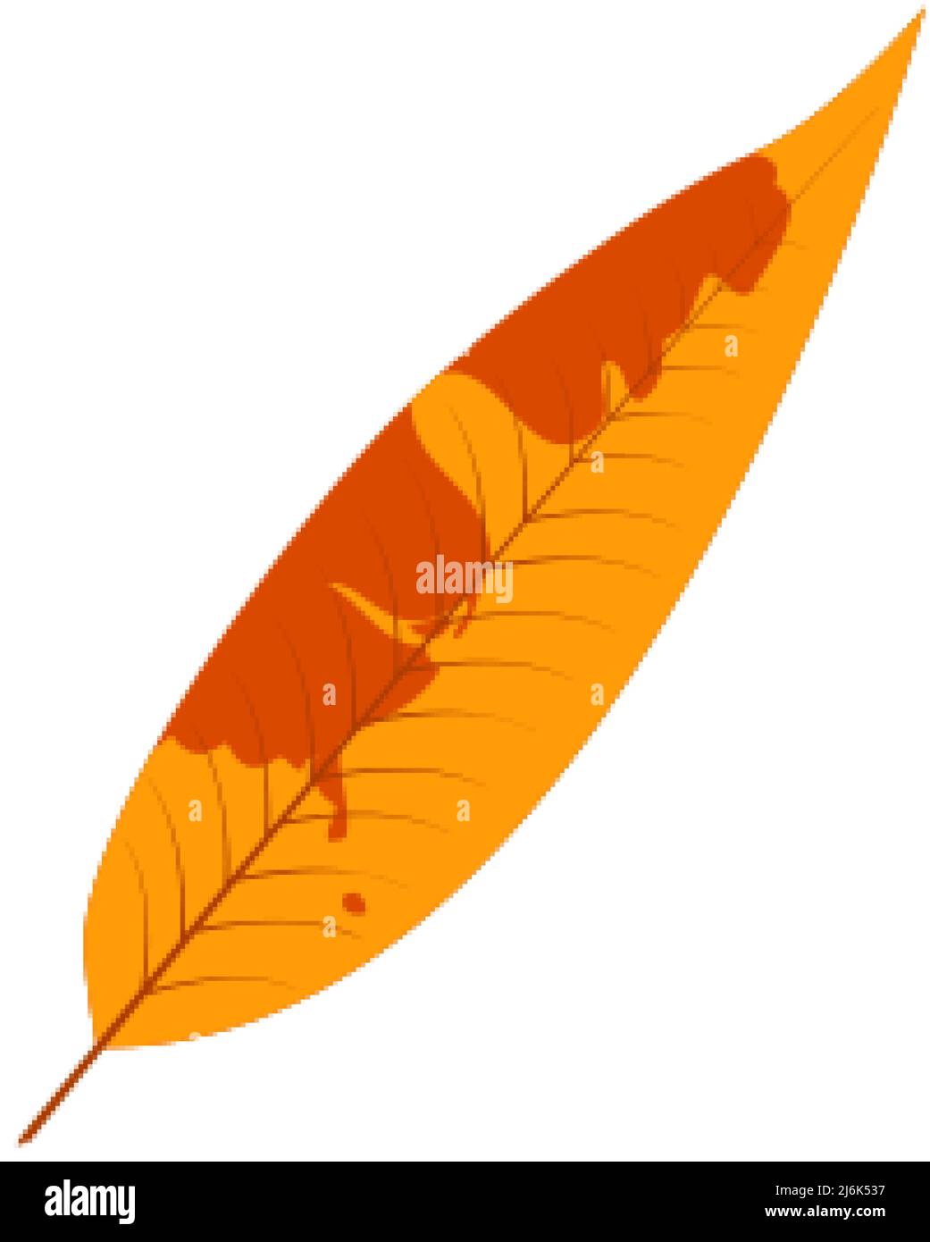 Withered autumn motley leaf. Fallen leaf with variegated texture. Stock Vector