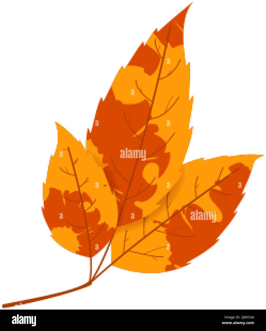 Withered autumn motley leaf. Fallen leaf with variegated texture. Stock Vector