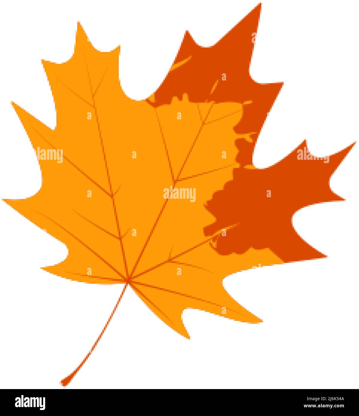 Withered autumn maple leaf. Fallen leaf with notley texture. Stock Vector