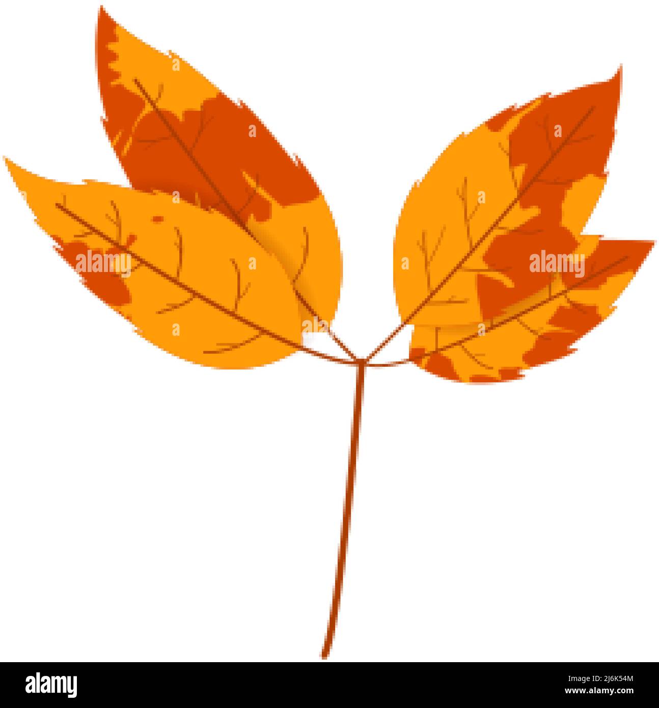 Withered autumn motley leaf. Fallen leaf with variegated texture. Stock Vector