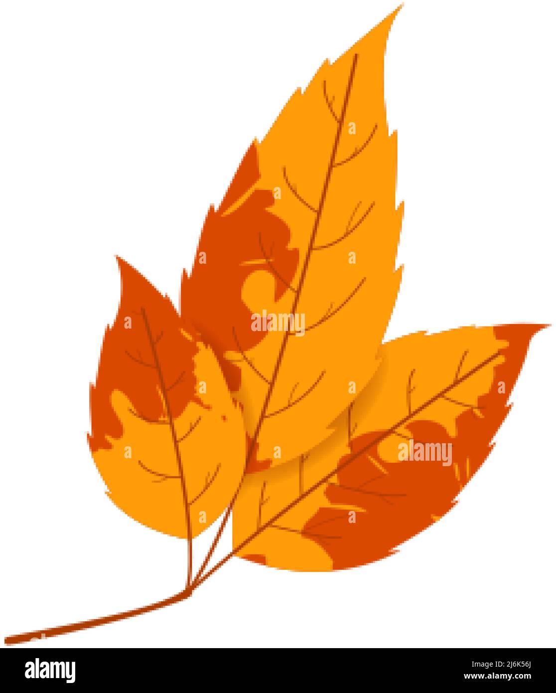 Withered autumn motley leaf. Fallen leaf with variegated texture. Stock Vector