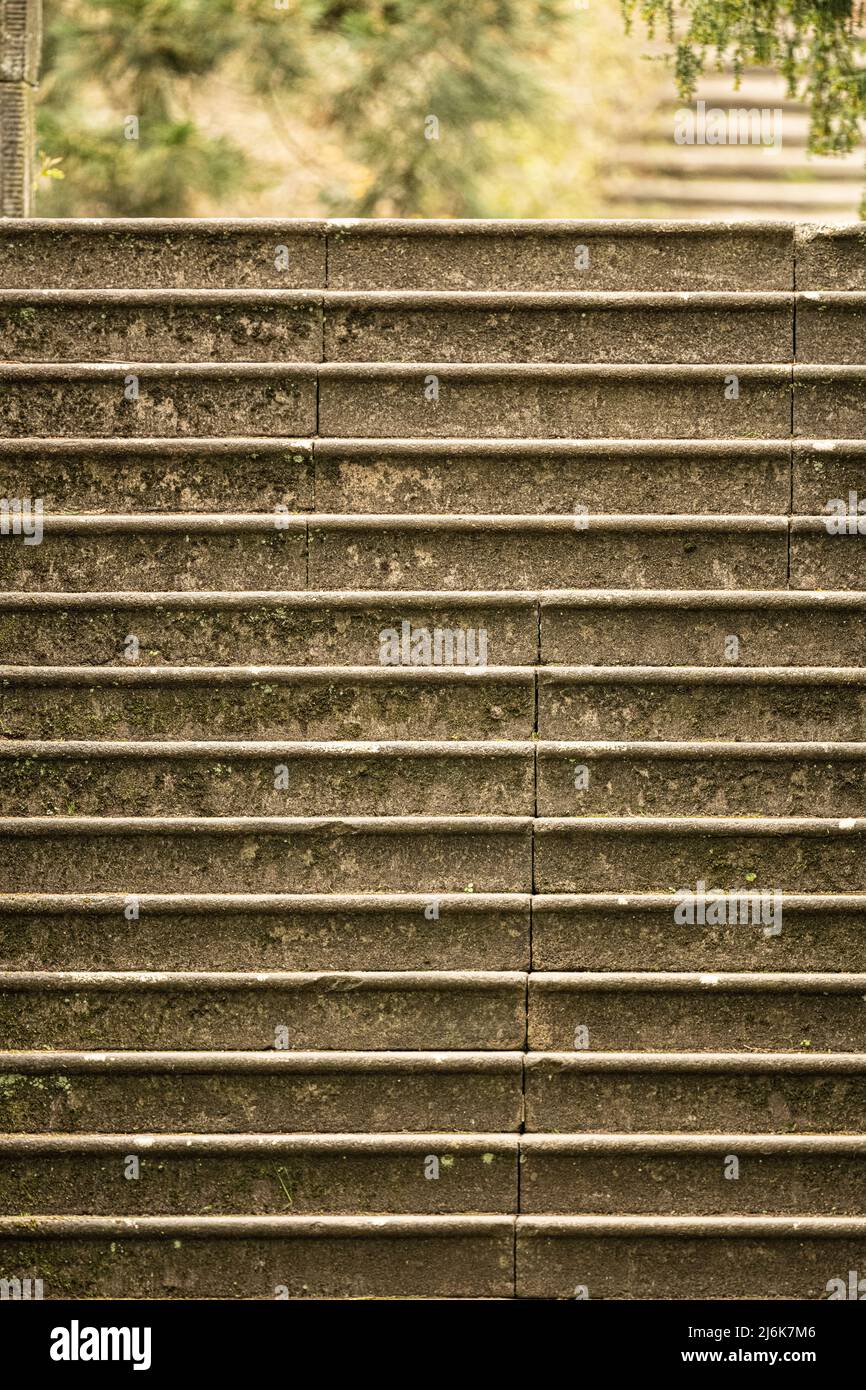 Stately Step Stately home steps hi-res stock photography and images - Alamy