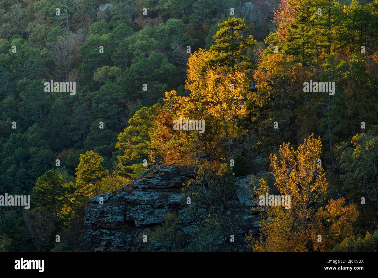 USA; South; Arkansas; Ozarks; Hawksbill Crag; Whitaker Point; Stock Photo