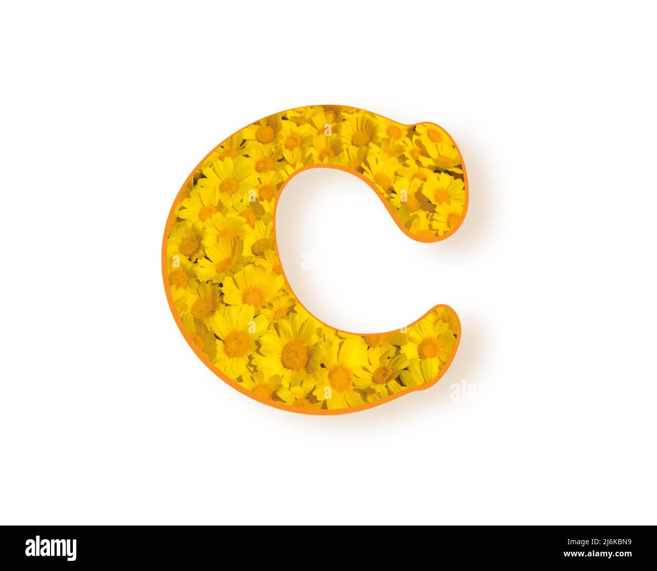 Letter C logo. Yellow color spring flower capital letter C, design element alphabet, daisies texture, vector illustration isolated on white background Stock Vector