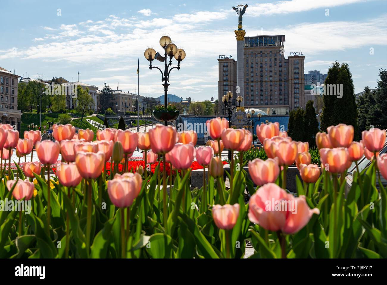 Independence Square Kyiv red flowers monuments springtime Stock Photo